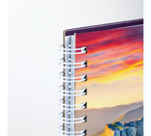 Тетрадь А4, 80 л., BRAUBERG, гребень, клетка, обложка твердая, 