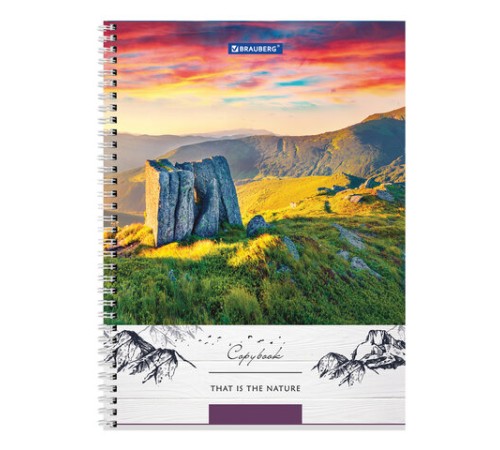 Тетрадь А4, 80 л., BRAUBERG, гребень, клетка, обложка твердая, 