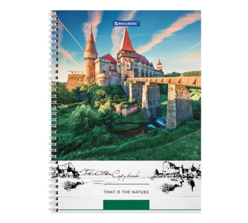 Тетрадь А4, 80 л., BRAUBERG, гребень, клетка, обложка твердая, 