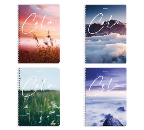 Тетрадь А4, 96 л., BRAUBERG, гребень, клетка, обложка картон, 