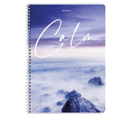 Тетрадь А4, 96 л., BRAUBERG, гребень, клетка, обложка картон, 