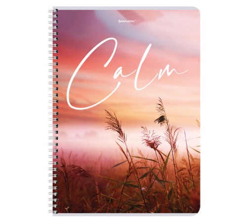 Тетрадь А4, 96 л., BRAUBERG, гребень, клетка, обложка картон, 