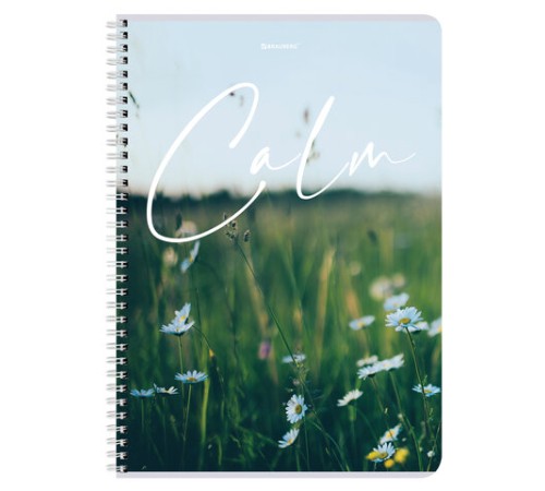 Тетрадь А4, 96 л., BRAUBERG, гребень, клетка, обложка картон, 