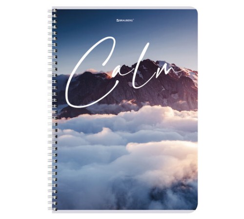 Тетрадь А4, 96 л., BRAUBERG, гребень, клетка, обложка картон, 