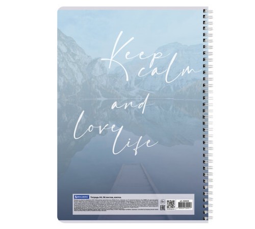 Тетрадь А4, 96 л., BRAUBERG, гребень, клетка, обложка картон, 