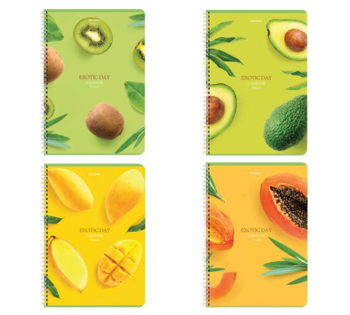 Тетрадь А4, 96 л., BRAUBERG, гребень, клетка, матовая ламинация, 