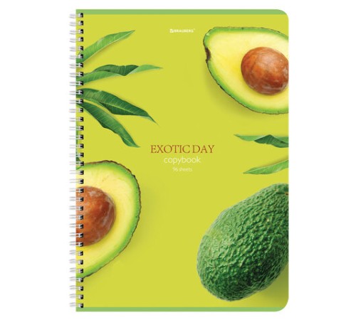 Тетрадь А4, 96 л., BRAUBERG, гребень, клетка, матовая ламинация, 