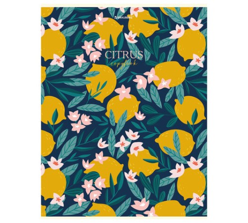 Тетрадь А4, 96 л., BRAUBERG, скоба, клетка, глянцевый лак, 