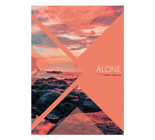 Тетрадь А4, 96 л., BRAUBERG, скоба, линия, обложка картон, 