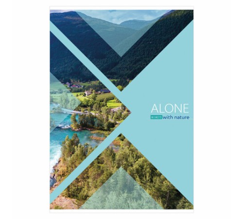 Тетрадь А4, 96 л., BRAUBERG, скоба, линия, обложка картон, 