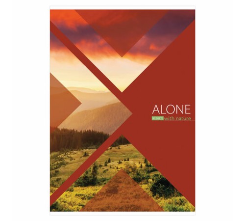 Тетрадь А4, 96 л., BRAUBERG, скоба, линия, обложка картон, 