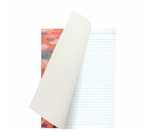 Тетрадь А4, 96 л., BRAUBERG, скоба, линия, обложка картон, 