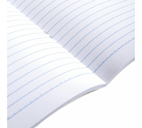 Тетрадь А4, 96 л., BRAUBERG, скоба, линия, обложка картон, 