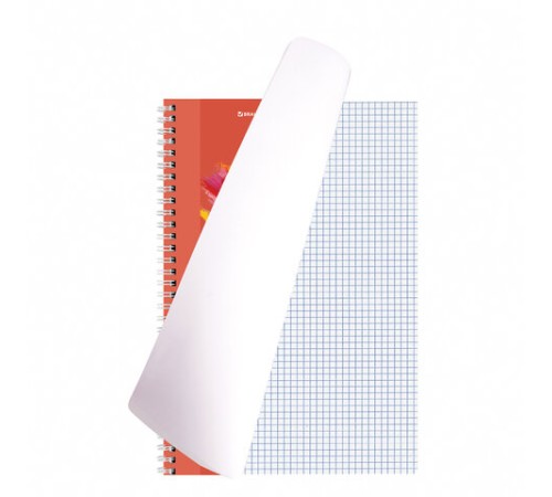 Тетрадь А4, 120 л., BRAUBERG гребень, клетка, обложка картон, 