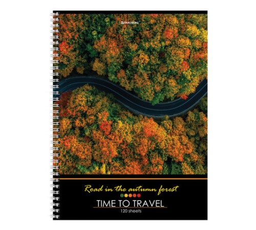 Тетрадь А4, 120 л., BRAUBERG гребень, клетка, обложка картон, 