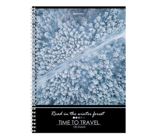 Тетрадь А4, 120 л., BRAUBERG гребень, клетка, обложка картон, 