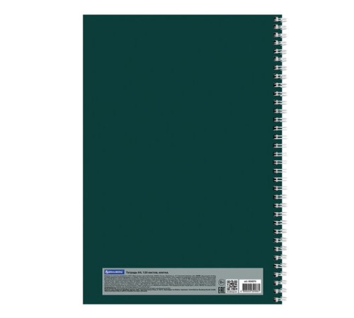 Тетрадь А4, 120 л., BRAUBERG, гребень, клетка, обложка твердая, 