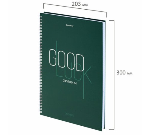 Тетрадь А4, 120 л., BRAUBERG, гребень, клетка, обложка твердая, 