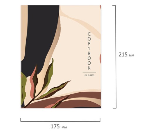 Тетрадь на кольцах А5 (175х215 мм), 120 листов, твердый картон, клетка, BRAUBERG, Vision, 404075
