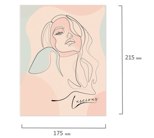 Тетрадь на кольцах А5 (175х215 мм), 120 листов, твердый картон, клетка, BRAUBERG, Девушка, 404076
