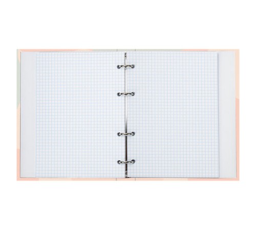 Тетрадь на кольцах А5 (175х215 мм), 120 листов, твердый картон, клетка, BRAUBERG, Девушка, 404076