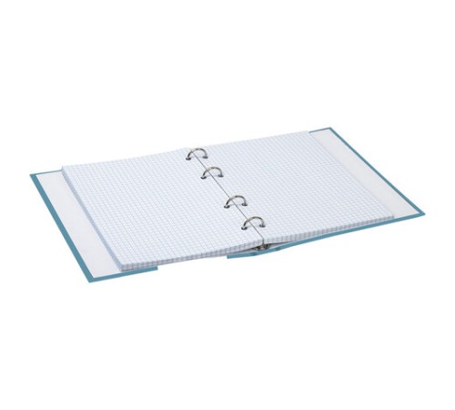 Тетрадь на кольцах А5 (175х215 мм), 120 листов, твердый картон, клетка, BRAUBERG, Щеглы, 404079