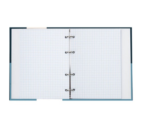 Тетрадь на кольцах А5 (175х215 мм), 120 листов, твердый картон, клетка, BRAUBERG, In Dreams, 404084