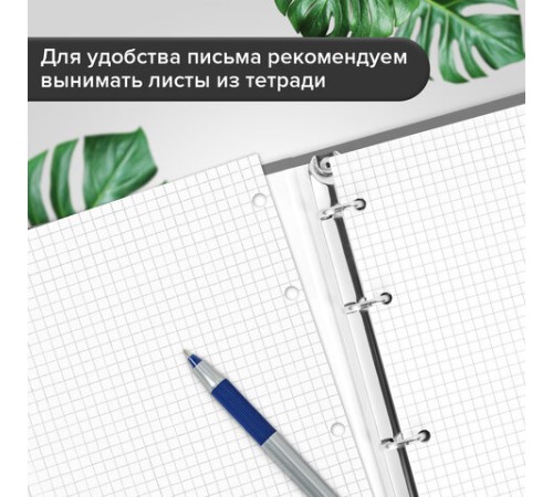 Тетрадь на кольцах А5 (175х215 мм), 120 листов, твердый картон, клетка, BRAUBERG, In Dreams, 404084