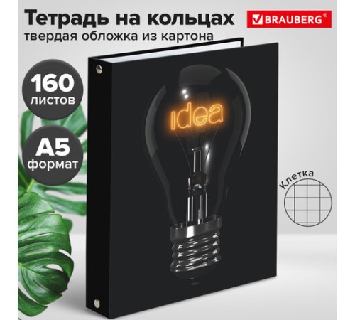 Тетрадь на кольцах А5 (175х215 мм), 160 листов, твердый картон, клетка, BRAUBERG, Idea, 404091
