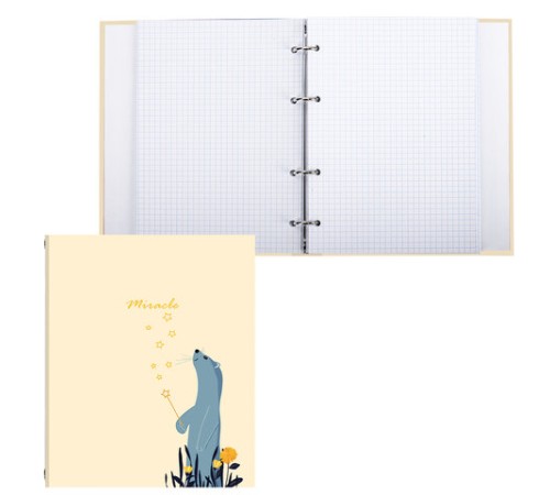 Тетрадь на кольцах А5 (175х215 мм), 240 листов, твердый картон, клетка, BRAUBERG, Miracle, 404093