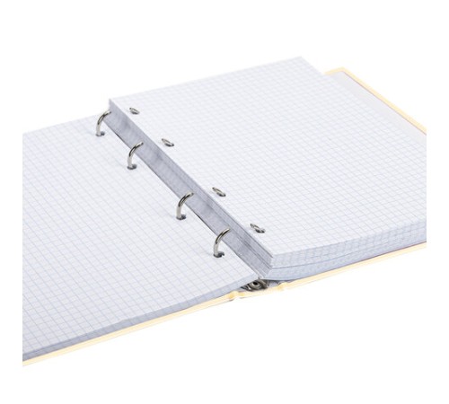 Тетрадь на кольцах А5 (175х215 мм), 240 листов, твердый картон, клетка, BRAUBERG, Miracle, 404093