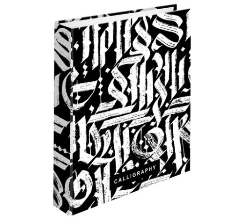 Тетрадь на кольцах А5 (175х215 мм), 240 листов, твердый картон, клетка, с разделителями, BRAUBERG, Calligraphy,404097