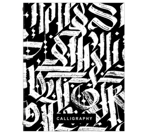 Тетрадь на кольцах А5 (175х215 мм), 240 листов, твердый картон, клетка, с разделителями, BRAUBERG, Calligraphy,404097