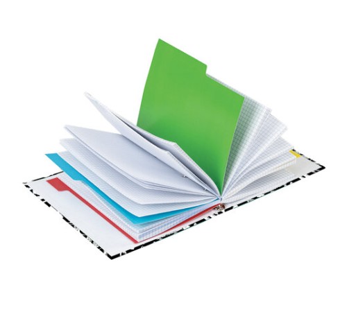 Тетрадь на кольцах А5 (175х215 мм), 240 листов, твердый картон, клетка, с разделителями, BRAUBERG, Calligraphy,404097