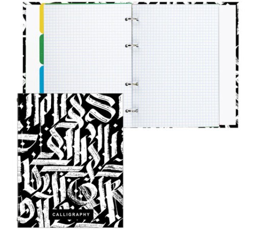 Тетрадь на кольцах А5 (175х215 мм), 240 листов, твердый картон, клетка, с разделителями, BRAUBERG, Calligraphy,404097