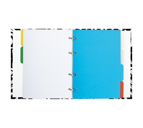 Тетрадь на кольцах А5 (175х215 мм), 240 листов, твердый картон, клетка, с разделителями, BRAUBERG, Calligraphy,404097