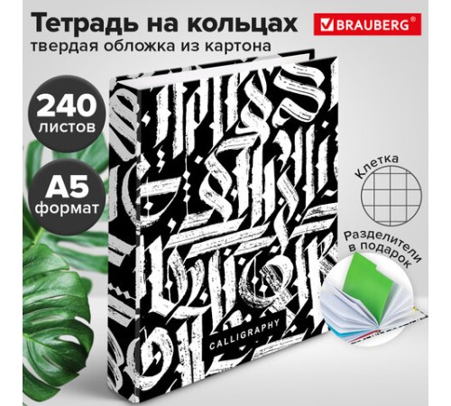 Тетрадь на кольцах А5 (175х215 мм), 240 листов, твердый картон, клетка, с разделителями, BRAUBERG, Calligraphy,404097
