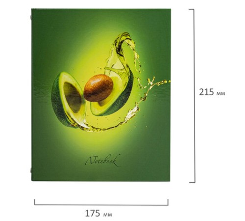 Тетрадь на кольцах А5 (175х215 мм), 240 листов, твердый картон, клетка, с разделителями, BRAUBERG, Авокадо, 404098
