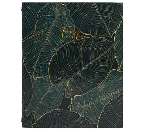 Тетрадь на кольцах А5 (175х215 мм), 240 листов, твердый картон, клетка, с разделителями, BRAUBERG, Листья, 404099