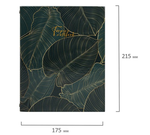 Тетрадь на кольцах А5 (175х215 мм), 240 листов, твердый картон, клетка, с разделителями, BRAUBERG, Листья, 404099