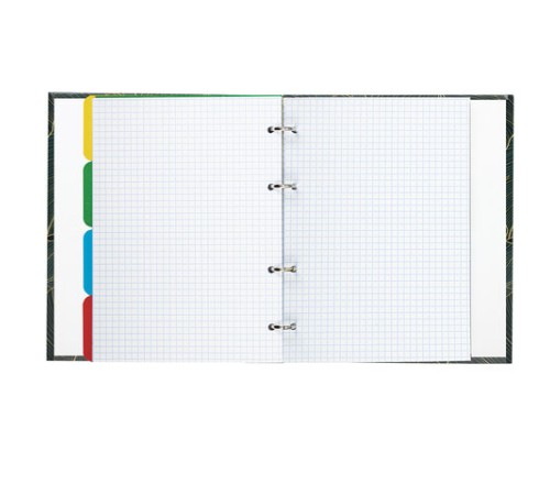 Тетрадь на кольцах А5 (175х215 мм), 240 листов, твердый картон, клетка, с разделителями, BRAUBERG, Листья, 404099