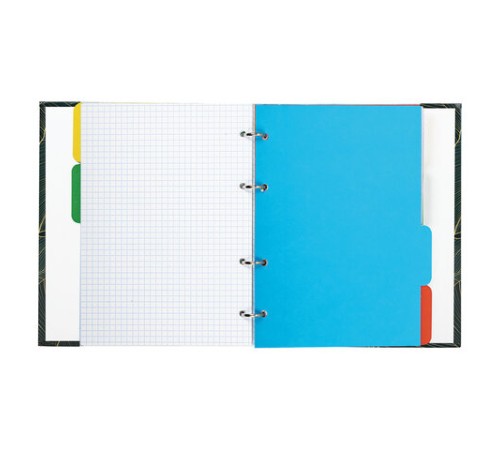 Тетрадь на кольцах А5 (175х215 мм), 240 листов, твердый картон, клетка, с разделителями, BRAUBERG, Листья, 404099