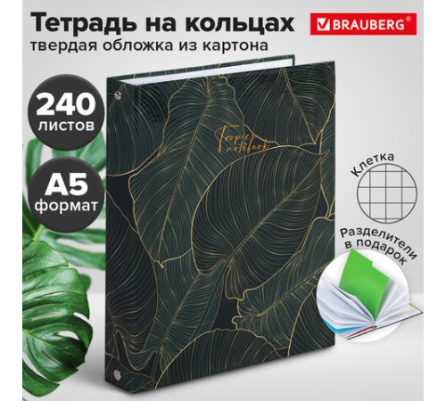Тетрадь на кольцах А5 (175х215 мм), 240 листов, твердый картон, клетка, с разделителями, BRAUBERG, Листья, 404099
