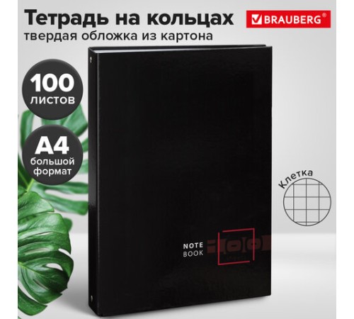 Тетрадь на кольцах БОЛЬШАЯ А4 (210х305 мм), 100 листов, твердый картон, клетка, BRAUBERG, Dark, 404101