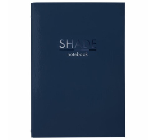 Тетрадь на кольцах БОЛЬШАЯ А4 (210х305 мм), 100 листов, твердый картон, клетка, BRAUBERG, Shade, 404102