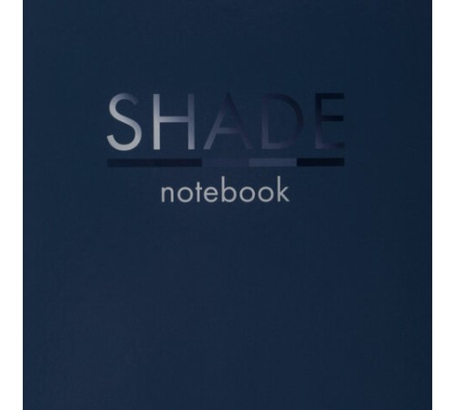 Тетрадь на кольцах БОЛЬШАЯ А4 (210х305 мм), 100 листов, твердый картон, клетка, BRAUBERG, Shade, 404102