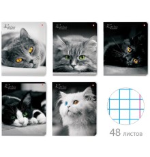 Тетрадь А5 48 л. АЛЬТ скоба, клетка, глянцевый лак, 