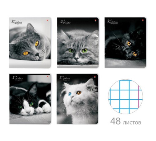 Тетрадь А5 48 л. АЛЬТ скоба, клетка, глянцевый лак, 