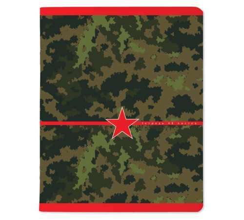 Тетрадь А5 48 л. АЛЬТ скоба, клетка, глянцевый лак, 