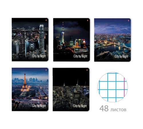 Тетрадь А5 48 л. АЛЬТ скоба, клетка, глянцевый лак, 